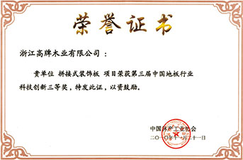 中国地板行业科技创新三等奖